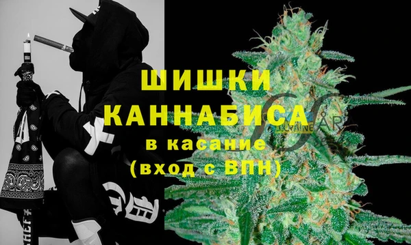 PSILOCYBIN Алексин