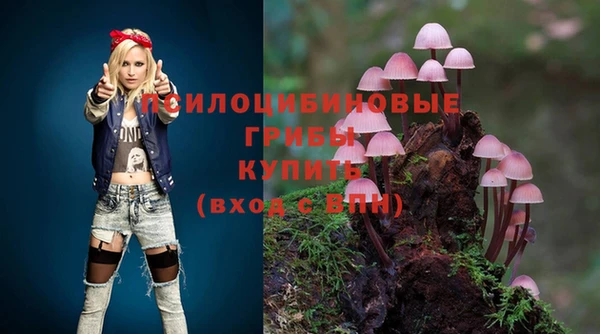 PSILOCYBIN Алексин