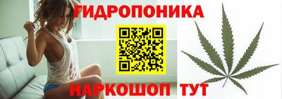 винт Донецк
