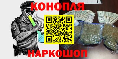 шишки Заводоуковск