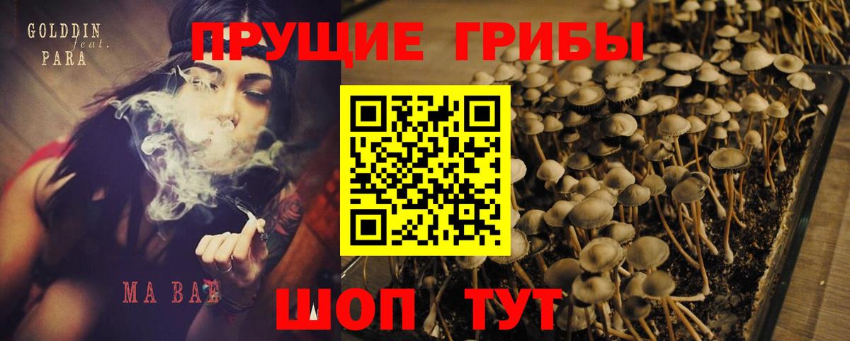 Псилоцибиновые грибы мухоморы  Псилоцибиновые грибы Magic Shrooms  Вход с VPN  Ливны 